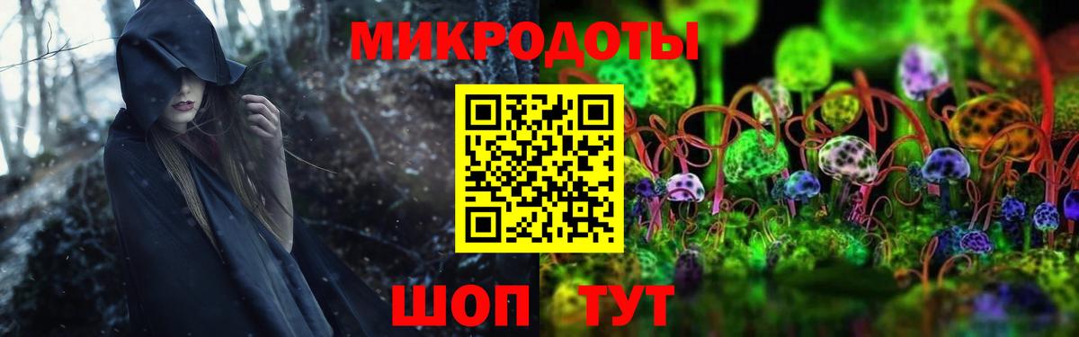Псилоцибиновые грибы Cubensis  Вход с VPN  цены наркотик  Кизилюрт 